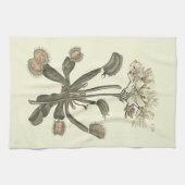 ハエトリソウの植物画 キッチンタオル (横)