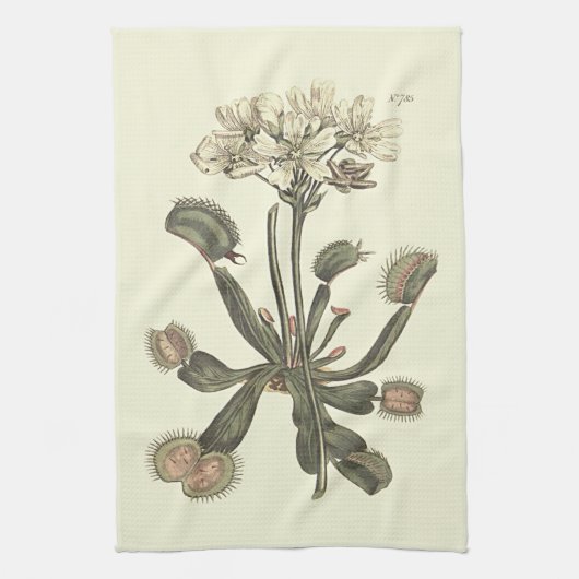 ハエトリソウの植物画 キッチンタオル (縦)