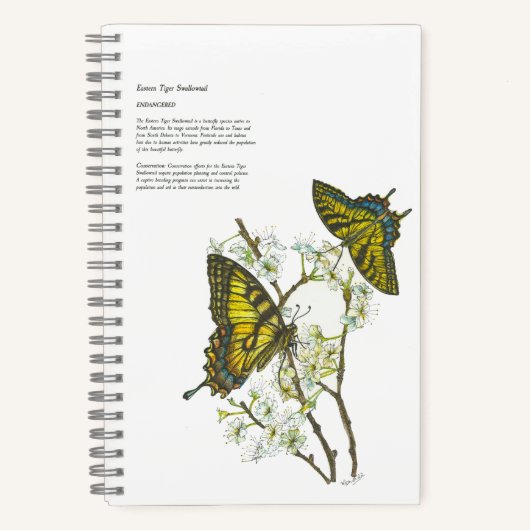 ハエレガントンドエ絵を描ロアゲハチョウ ノートブック (正面)