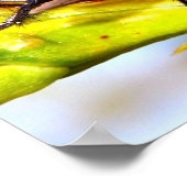 ハエ ポスター (角)