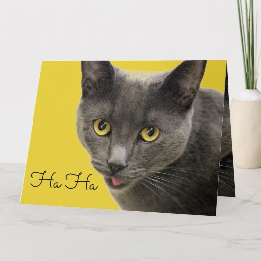 ハオールドワンハッピーバースデー カード (正面)