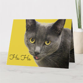 ハオールドワンハッピーバースデー カード