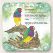 ハカラフルンドグ絵を描ロディアンフィンチ コースター (正面)