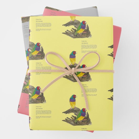 ハカラフルンドグ絵を描ロディアンフィンチ ラッピングペーパーシート (インサイチュ)