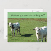 ハガキおもしろいキ、「牛を見たことがあるか?」 ポストカード (正面/裏面)