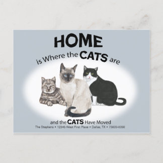 ハガキが動いた猫たち ポストカード