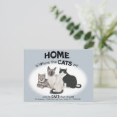 ハガキが動いた猫たち ポストカード (スタンド正面)