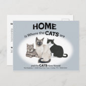 ハガキが動いた猫たち ポストカード (正面/裏面)