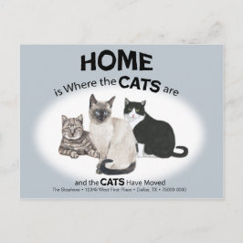 ハガキが動いた猫たち ポストカード