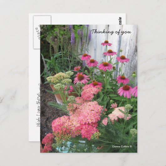 ハガキが来たらいいのに ポストカード (正面/裏面)