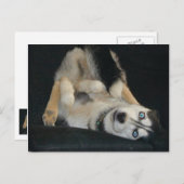 ハガキに向かう ポストカード (正面/裏面)