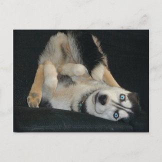 ハガキに向かう ポストカード