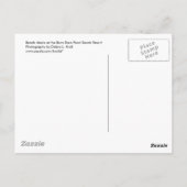 ハガキに来てほしい ポストカード (裏面)