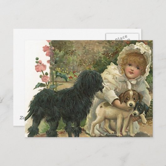 ハガキのプロモーションレスキュー会とペットの採用を歓迎 ポストカード (正面/裏面)