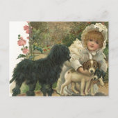 ハガキのプロモーションレスキュー会とペットの採用を歓迎 ポストカード (正面)