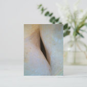 ハガキの宇宙 ポストカード (スタンド正面)