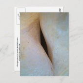 ハガキの宇宙 ポストカード (正面/裏面)