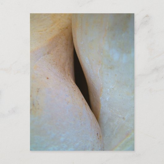 ハガキの宇宙 ポストカード (正面)