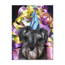 ハガキの後ろの誕生日パーティシュナウツァーリボン