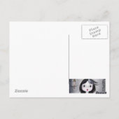 ハガキの死亡日 ポストカード (裏面)