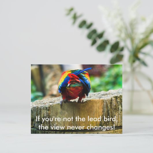 ハガキもしは、あなたは鉛鳥ではない。 ポストカード (スタンド正面)