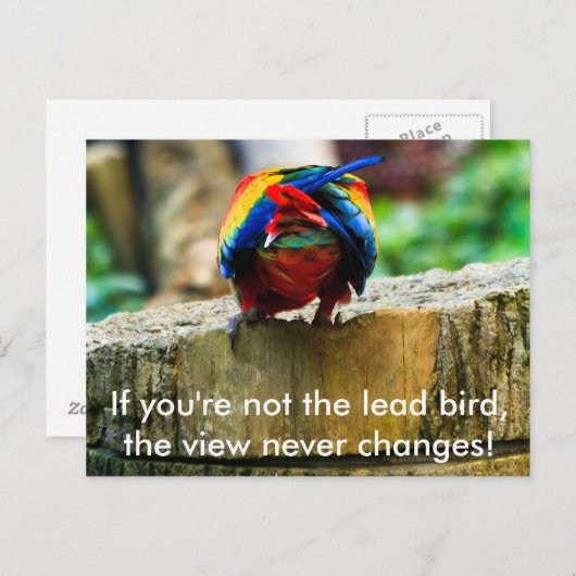 ハガキもしは、あなたは鉛鳥ではない。 ポストカード (正面/裏面)