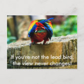 ハガキもしは、あなたは鉛鳥ではない。 ポストカード (正面)