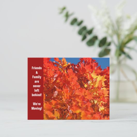 ハガキを移動する友人と家族の移動 案内ポストカード (スタンド正面)