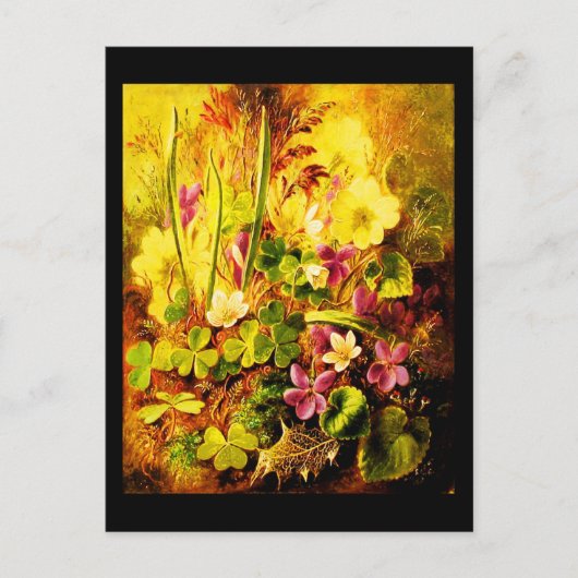 ハガキクラシックーヴィンテージ/アルバートドゥラールーカス12 ポストカード (正面)