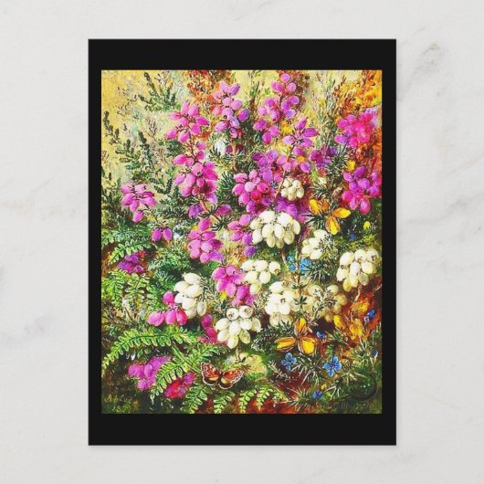 ハガキクラシックーヴィンテージ/アルバートDurer Lucas 5 ポストカード (正面)