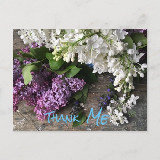ハガキユーモアのあるー:薄紫感謝してい「ME」ノート ポストカード (正面)