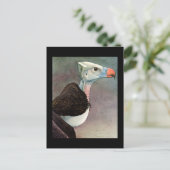 ハガキヴィンテージシカゴアートアビシニアン鳥12 ポストカード (スタンド正面)