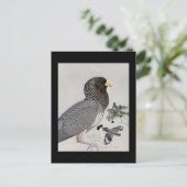 ハガキヴィンテージシカゴアートアビシニアン鳥14 ポストカード (スタンド正面)