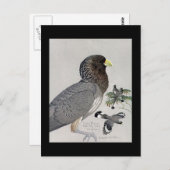 ハガキヴィンテージシカゴアートアビシニアン鳥14 ポストカード (正面/裏面)