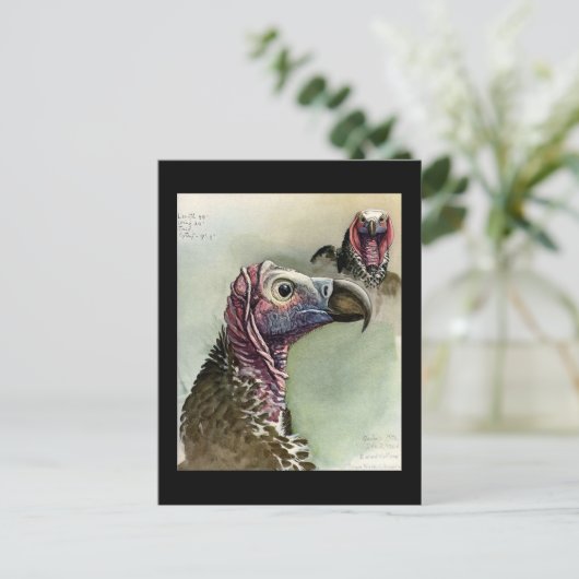 ハガキヴィンテージシカゴアートアビシニアン鳥15 ポストカード (スタンド正面)