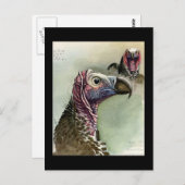 ハガキヴィンテージシカゴアートアビシニアン鳥15 ポストカード (正面/裏面)