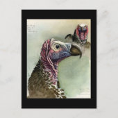 ハガキヴィンテージシカゴアートアビシニアン鳥15 ポストカード (正面)