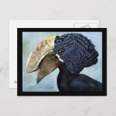 ハガキヴィンテージシカゴアートアビシニアン鳥16 ポストカード (正面/裏面)