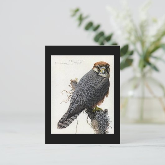 ハガキヴィンテージシカゴアートアビシニアン鳥2 ポストカード (スタンド正面)