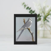 ハガキヴィンテージシカゴアートアビシニアン鳥8 ポストカード (スタンド正面)