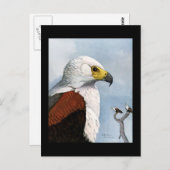 ハガキヴィンテージシカゴアートアビシニアン鳥9 ポストカード (正面/裏面)