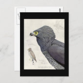 ハガキヴィンテージシカゴアートアビシニアン6 ポストカード (正面/裏面)