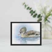 ハガキヴィンテージシカゴアートアビシニアン7 ポストカード (スタンド正面)