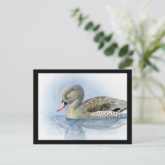 ハガキヴィンテージシカゴアートアビシニアン7 ポストカード (スタンド正面)