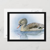 ハガキヴィンテージシカゴアートアビシニアン7 ポストカード (正面/裏面)