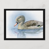 ハガキヴィンテージシカゴアートアビシニアン7 ポストカード (正面)