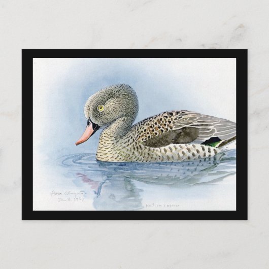 ハガキヴィンテージシカゴアートアビシニアン7 ポストカード (正面)