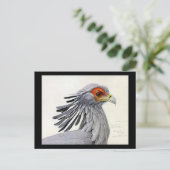 ハガキヴィンテージシカゴアートアビシニアン・バード19 ポストカード (スタンド正面)