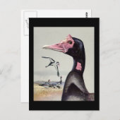 ハガキヴィンテージシカゴアートアビシニアン・バード20 ポストカード (正面/裏面)