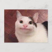 ハガキ丁寧ねこミーム ポストカード (正面)